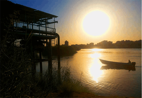 Iran is ready to strengthen regional digital cooperation