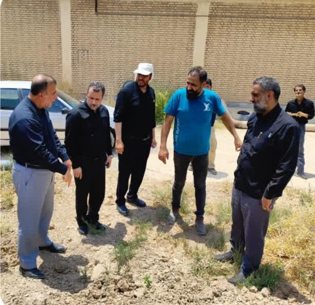 کوت سیدصالح