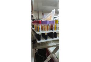 مشارکت کارکنان شرکت آبفا اهواز در پویش اهدای خون3